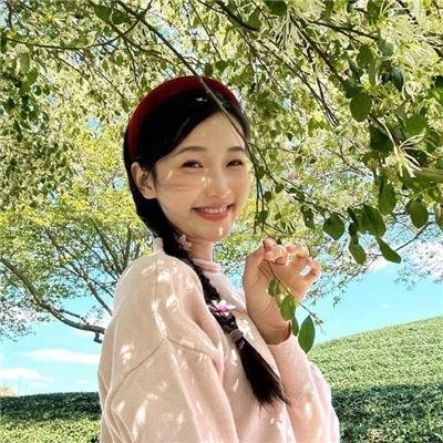 小狗丹的物语